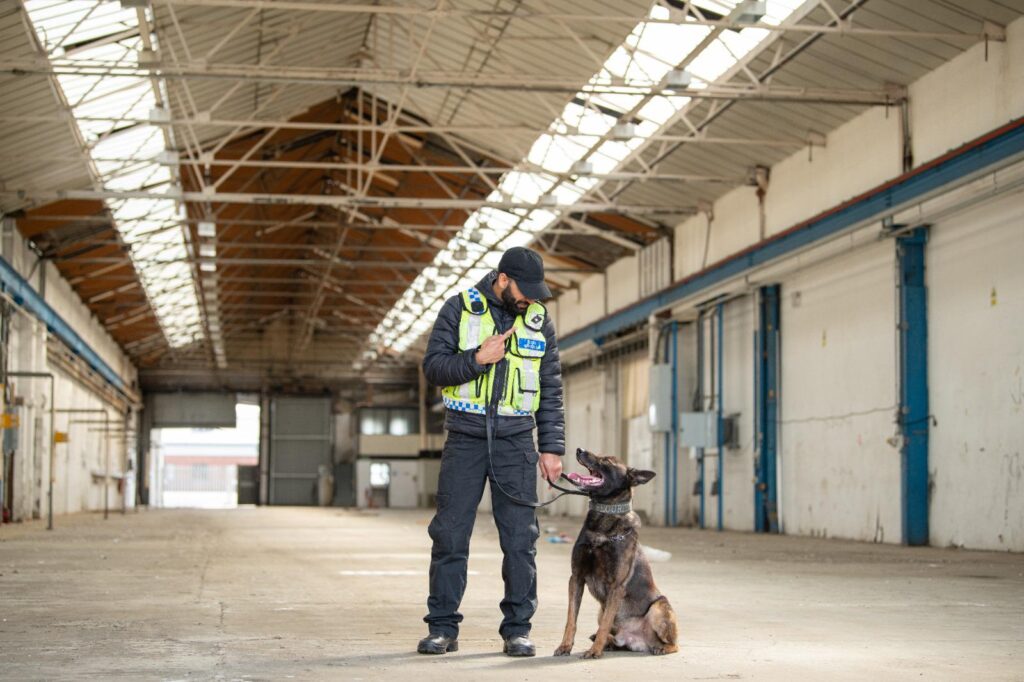 Canine Security Image