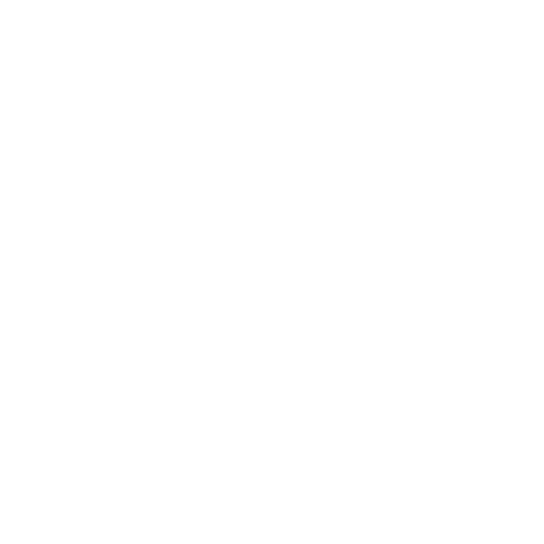 canine security