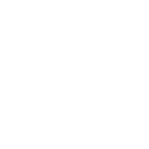 retail security icon
