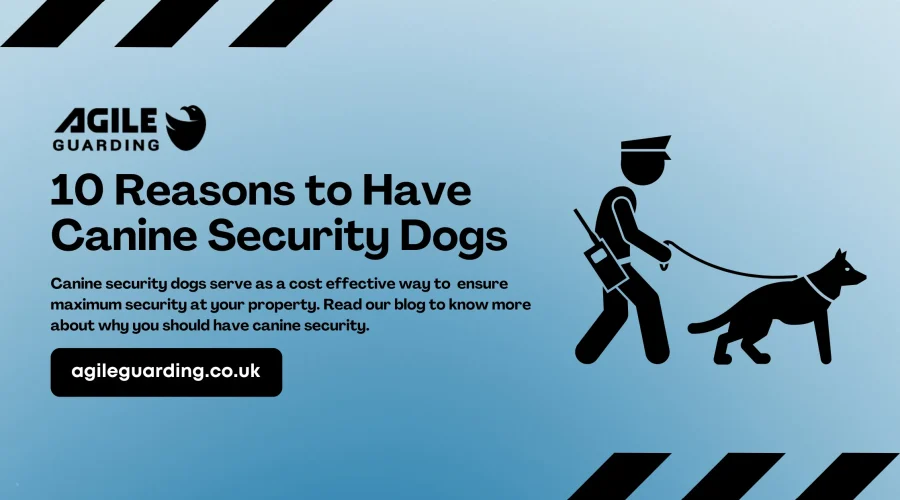 10 Reasons to Have Canine Security Dogs